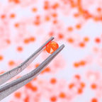 16Cuts Neon Pink Colors Glass Crystal Rhinestone SS10-SS40 8 Big 8 Small Crystal Strass Bling Bling Flatback Rhinestones