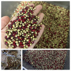 Customized SS6 Pointed Back Crystal Rhinestones Non-Hotfix Chaton Strass for DIY Nail Art Decoration & Wedding Garment Materials